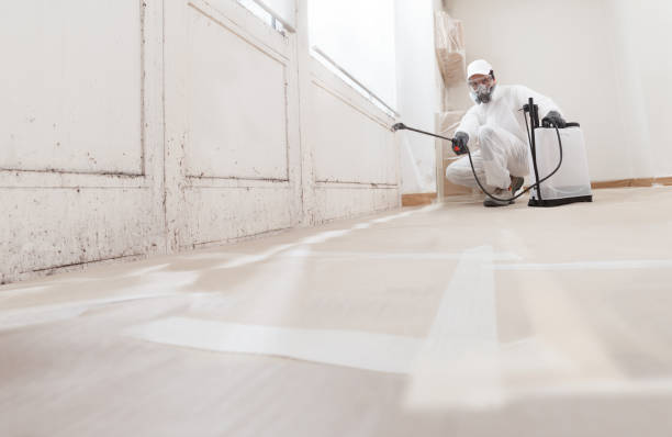 24/7 Emergency Commercial Mold Remediation experts in Waverly, IL