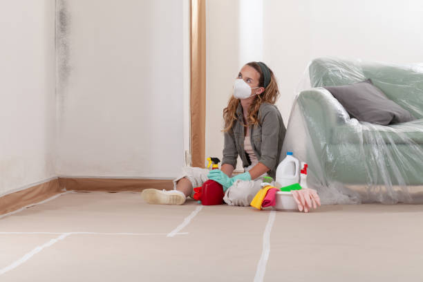 Reliable Commercial Mold Remediation contractor in Waverly, IL by 24 Hour Mold Removal