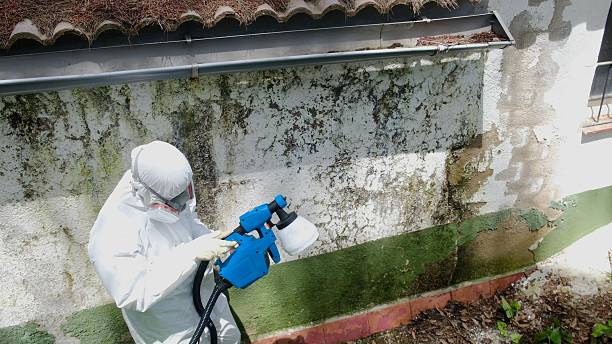 Top rated local Commercial Mold Remediation specialists in Waverly, IL
